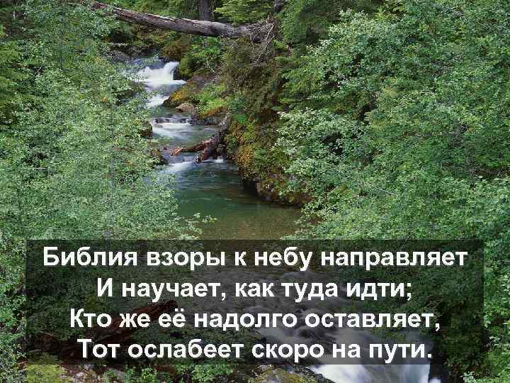 Библия взоры к небу направляет И научает, как туда идти; Кто же её надолго