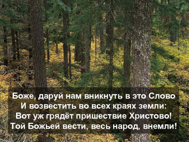 Боже, даруй нам вникнуть в это Слово И возвестить во всех краях земли: Вот