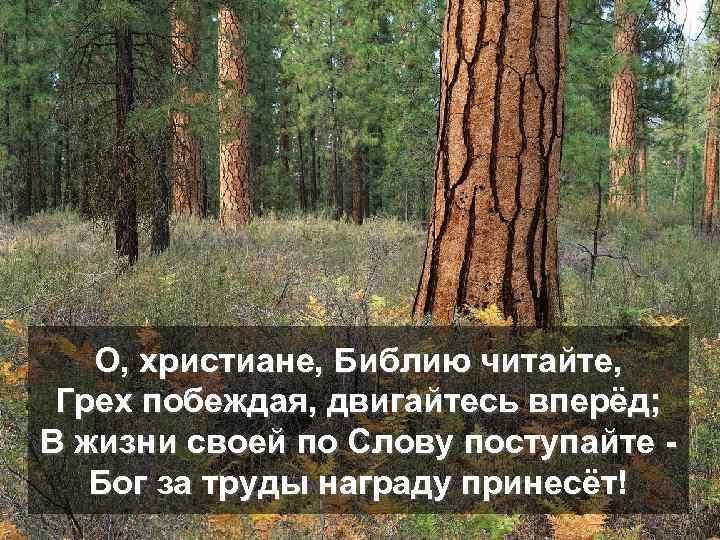 О, христиане, Библию читайте, Грех побеждая, двигайтесь вперёд; В жизни своей по Слову поступайте