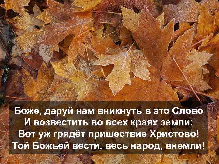 Боже, даруй нам вникнуть в это Слово И возвестить во всех краях земли: Вот
