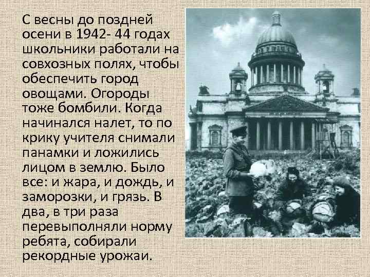 С весны до поздней осени в 1942 - 44 годах школьники работали на совхозных