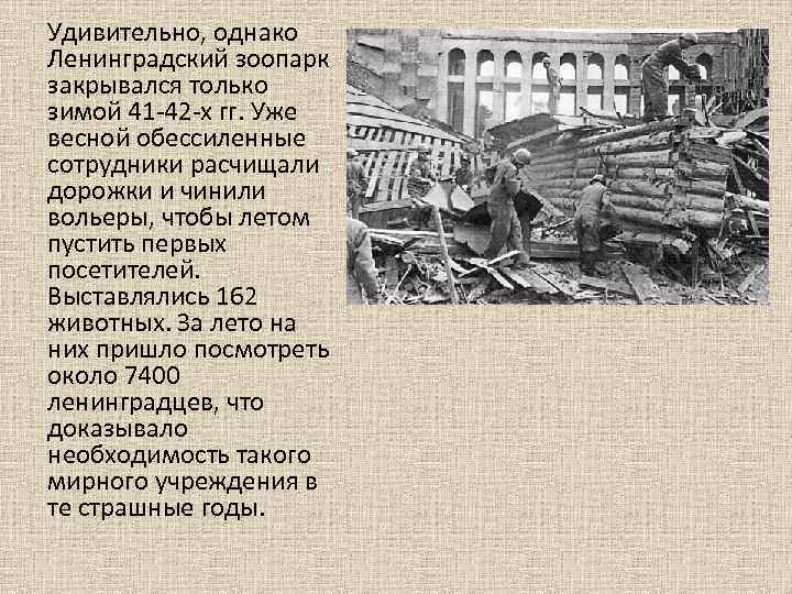 Удивительно, однако Ленинградский зоопарк закрывался только зимой 41 -42 -х гг. Уже весной обессиленные