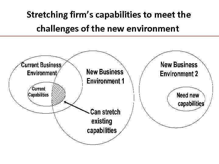 Stretching firm’s capabilities to meet the challenges of the new environment 