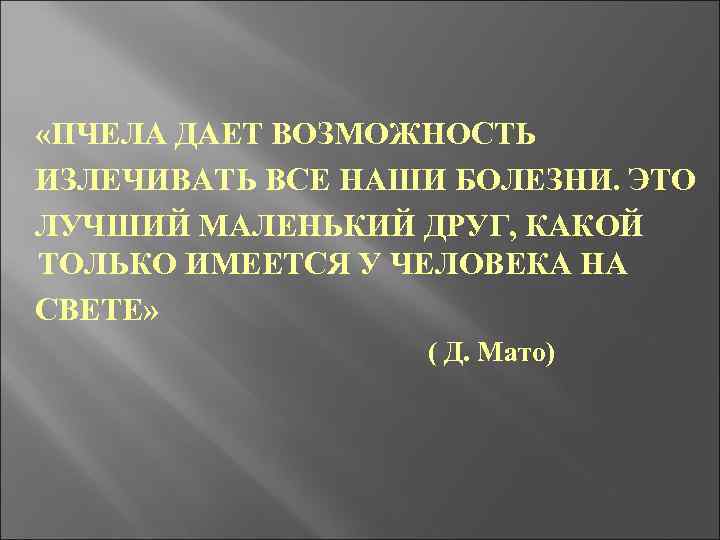  «ПЧЕЛА ДАЕТ ВОЗМОЖНОСТЬ ИЗЛЕЧИВАТЬ ВСЕ НАШИ БОЛЕЗНИ. ЭТО ЛУЧШИЙ МАЛЕНЬКИЙ ДРУГ, КАКОЙ ТОЛЬКО