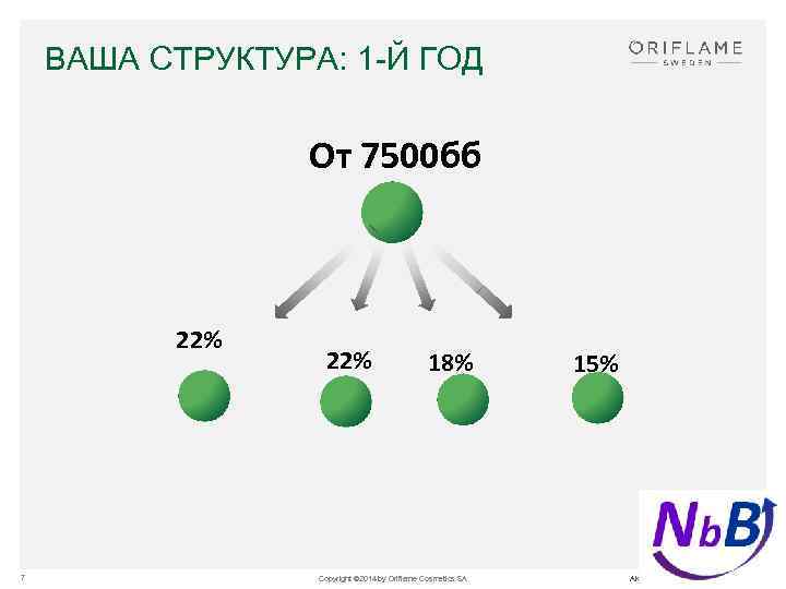 ВАША СТРУКТУРА: 1 -Й ГОД От 7500 бб 22% 7 22% 18% Copyright ©