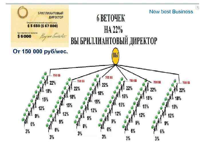 New best Business От 150 000 руб/мес. 