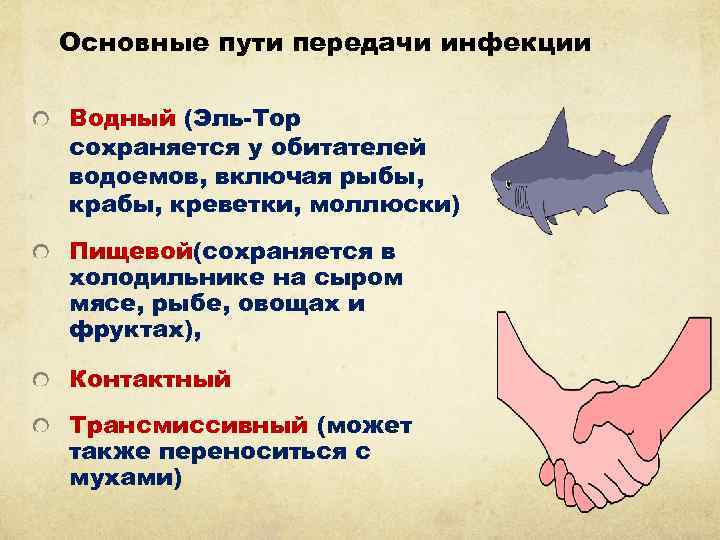 Основные пути передачи инфекции Водный (Эль-Тор сохраняется у обитателей водоемов, включая рыбы, крабы, креветки,