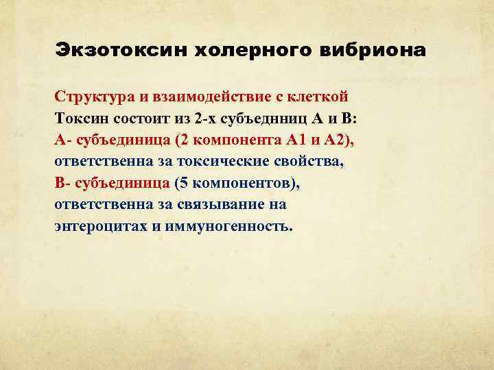 Экзотоксин холерного вибриона Структура и взаимодействие с клеткой Токсин состоит из 2 -х субъеднниц