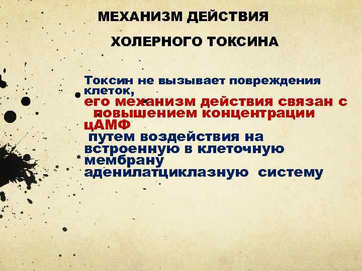 МЕХАНИЗМ ДЕЙСТВИЯ ХОЛЕРНОГО ТОКСИНА Токсин не вызывает повреждения клеток, его механизм действия связан с