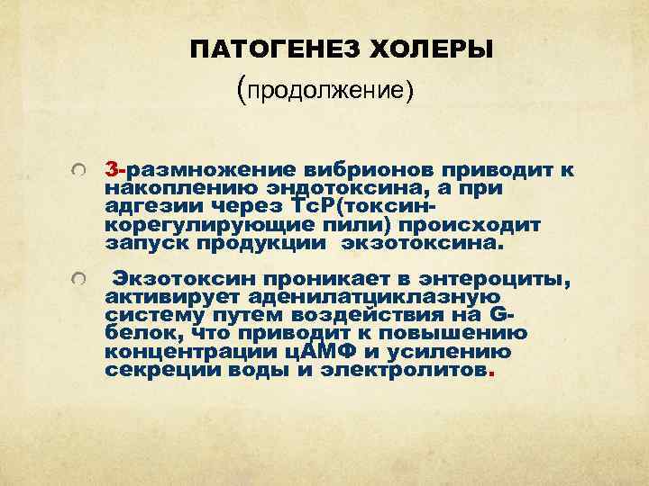 ПАТОГЕНЕЗ ХОЛЕРЫ (продолжение) 3 -размножение вибрионов приводит к накоплению эндотоксина, а при адгезии через