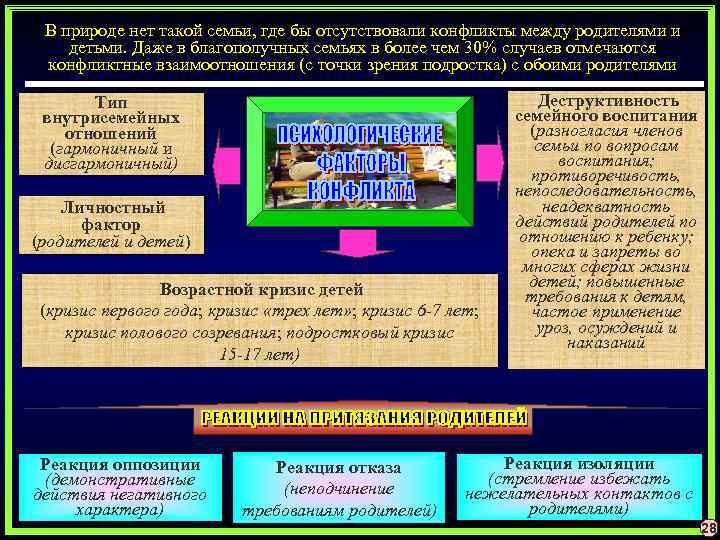 В природе нет такой семьи, где бы отсутствовали конфликты между родителями и детьми. Даже