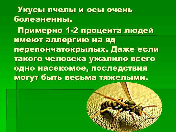 Укусы пчелы и осы очень болезненны. Примерно 1 -2 процента людей имеют аллергию на
