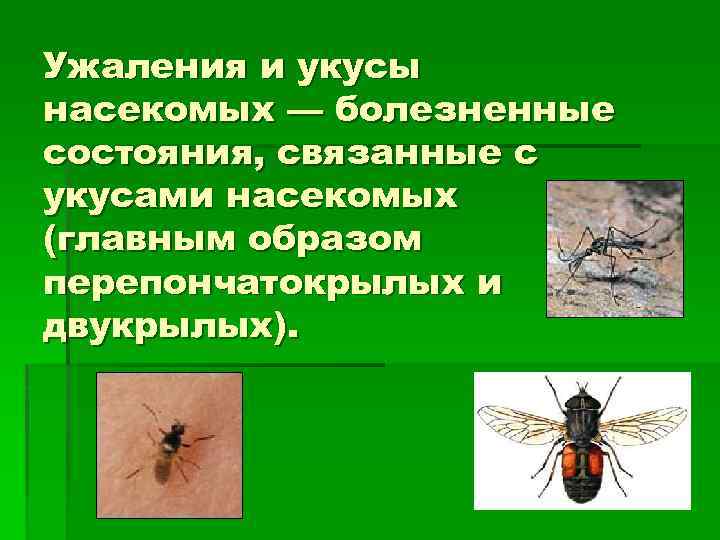 Ужаления и укусы насекомых — болезненные состояния, связанные с укусами насекомых (главным образом перепончатокрылых