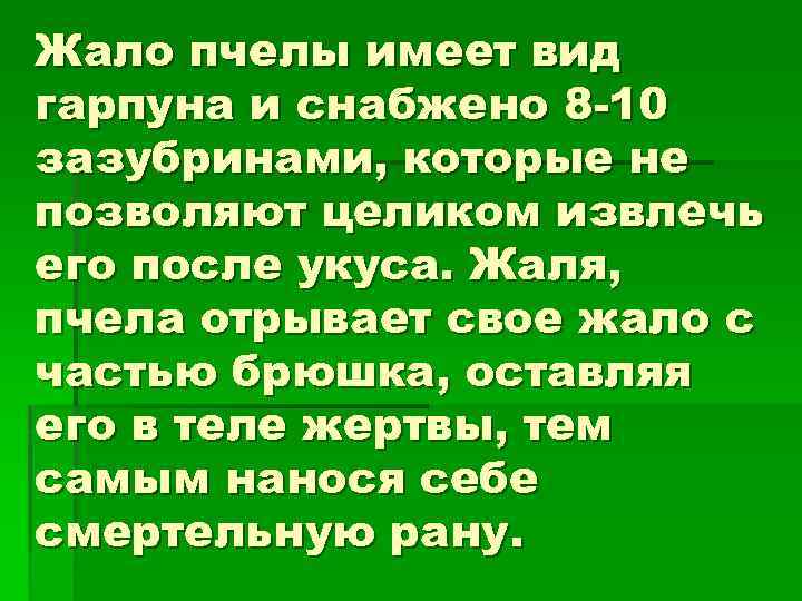 Жало пчелы имеет вид гарпуна и снабжено 8 -10 зазубринами, которые не позволяют целиком