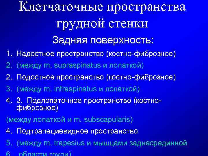 Клетчаточные пространства грудной стенки Задняя поверхность: 1. Надостное пространство (костно-фиброзное) 2. (между m. supraspinatus