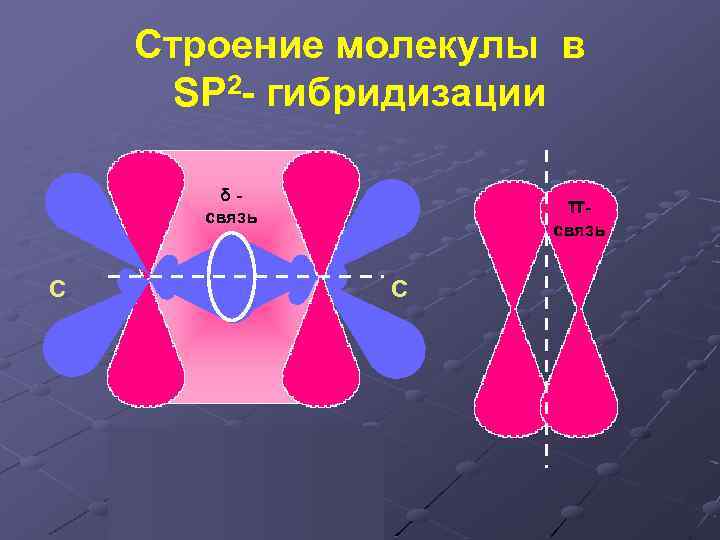 Строение молекулы в SP 2 - гибридизации δсвязь С πсвязь С δ С=С π