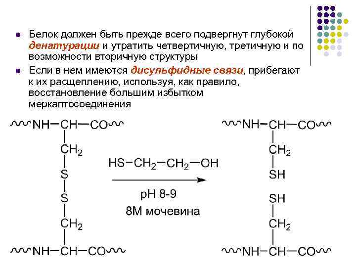 l l Белок должен быть прежде всего подвергнут глубокой денатурации и утратить четвертичную, третичную