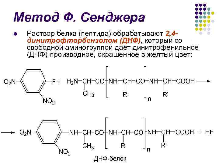 Пептид 2. 2,4-Динитрофторбензол с тирозином. Пептид+2,4-динитрофторбензолом. 2.4 Динитрофторбензол реакция с аминокислотами. Аланин + 2,4 динитрофторбензол.