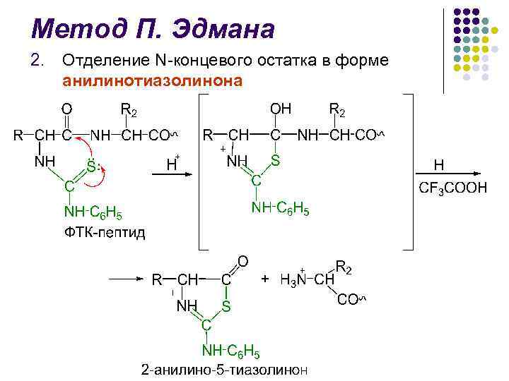 Метод П. Эдмана 2. Отделение N-концевого остатка в форме анилинотиазолинона 