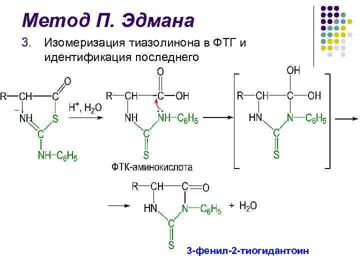 Фолликулярный юнит. Метод Эдмана биохимия. Метод Эдмана белки. Реакция Эдмана. Метод Эдмана реакция.