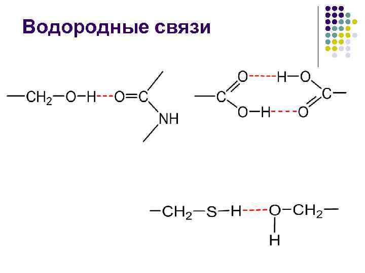 Белки водородные связи