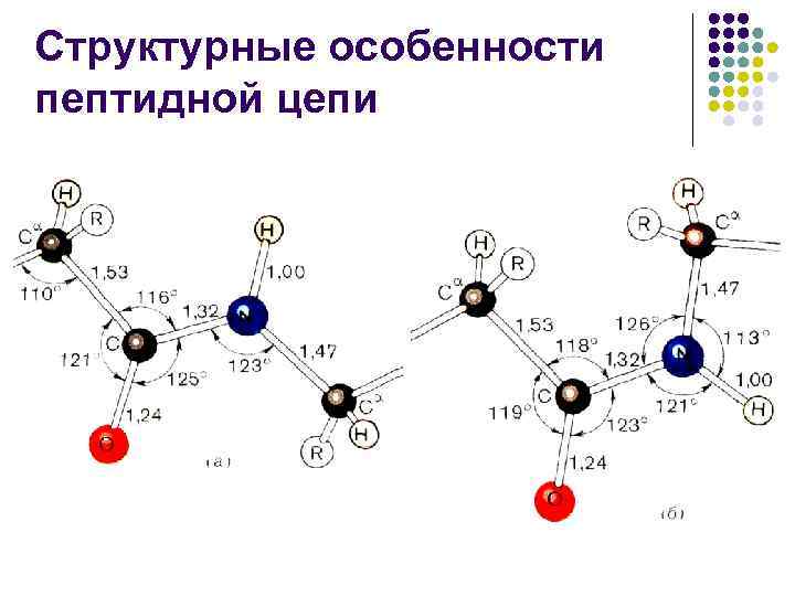 Структурные особенности пептидной цепи 