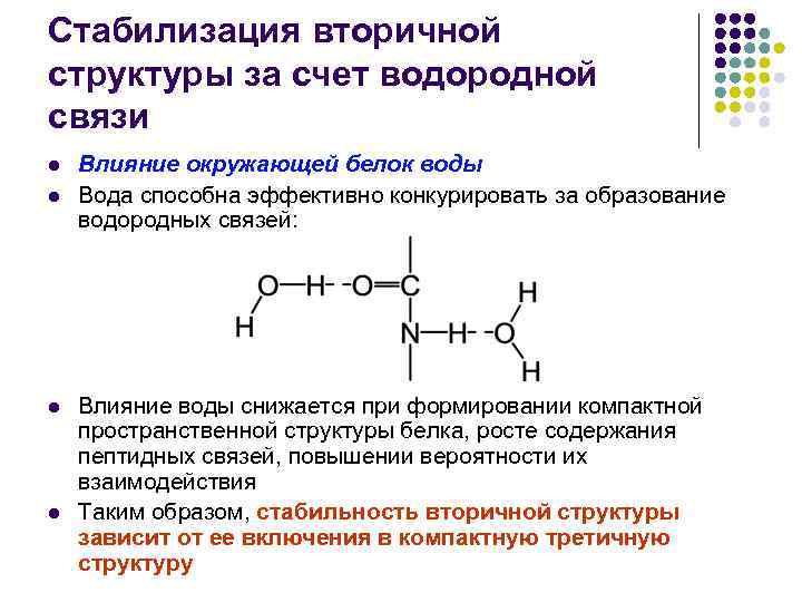 Белки какие связи. Связи стабилизирующие вторичную структуру белка. Образование водородных связей во вторичной структуре белка. Вторичная структура белка стабилизируется. Связи стабилизирующие белковую структуру.