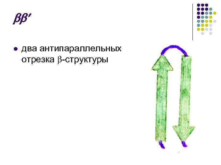  l два антипараллельных отрезка -структуры 