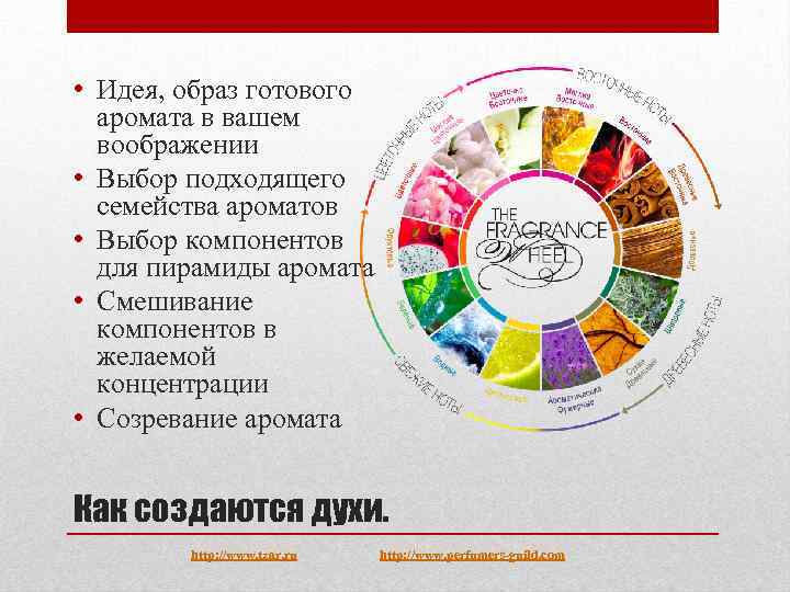  • Идея, образ готового аромата в вашем воображении • Выбор подходящего семейства ароматов