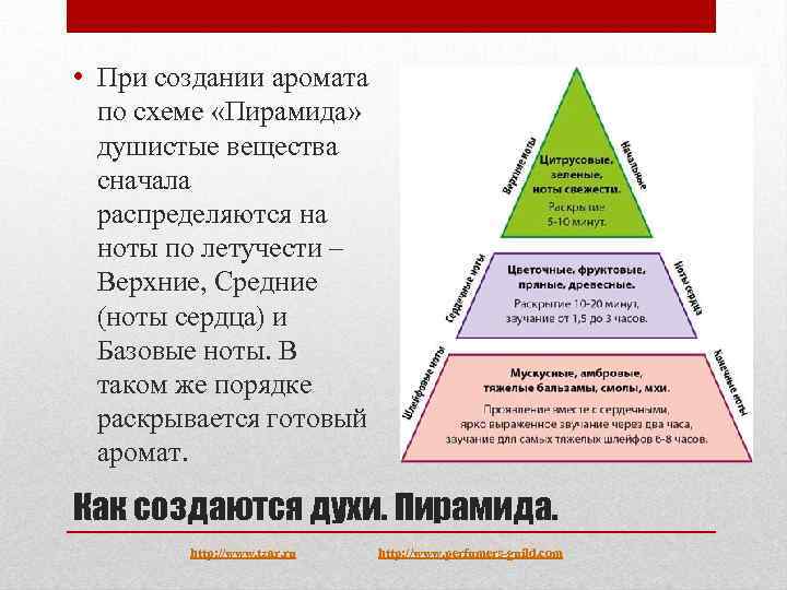  • При создании аромата по схеме «Пирамида» душистые вещества сначала распределяются на ноты