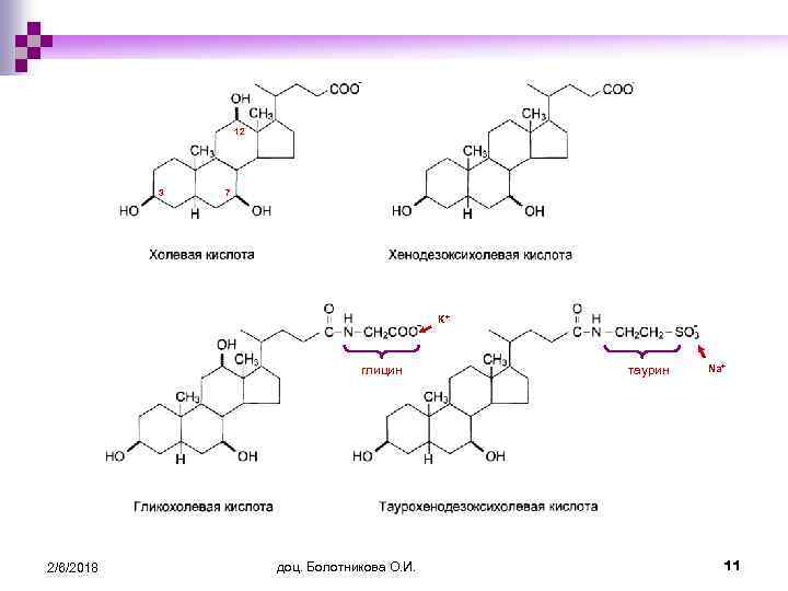 12 3 7 К+ глицин 2/6/2018 доц. Болотникова О. И. таурин Na+ 11 