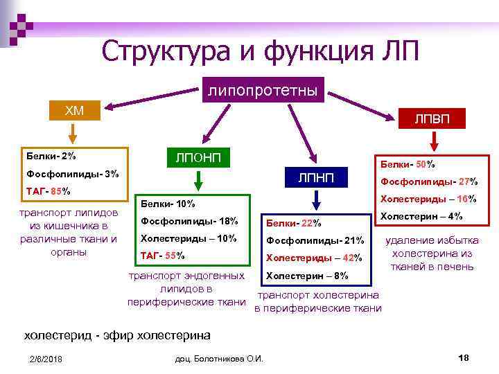 Структура и функция ЛП липопротетны ХМ Белки- 2% ЛПВП ЛПОНП Белки- 50% Фосфолипиды- 3%
