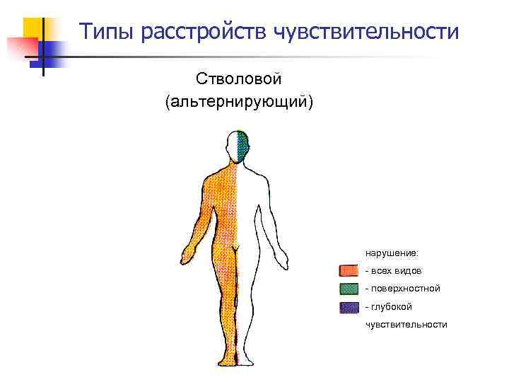 Нарушение чувствительности латынь термин