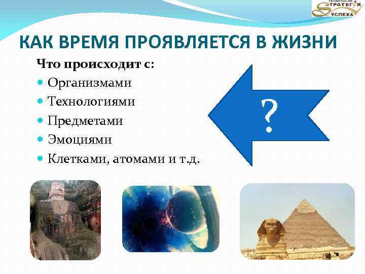 КАК ВРЕМЯ ПРОЯВЛЯЕТСЯ В ЖИЗНИ Что происходит с: Организмами Технологиями Предметами Эмоциями Клетками, атомами