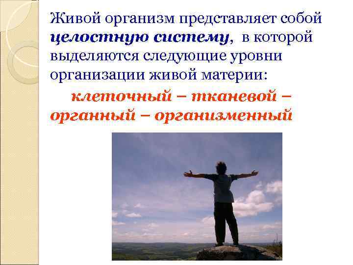 Живой организм представляет собой целостную систему, в которой выделяются следующие уровни организации живой материи: