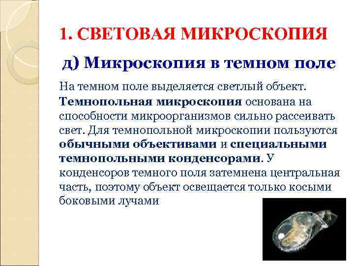 1. СВЕТОВАЯ МИКРОСКОПИЯ д) Микроскопия в темном поле На темном поле выделяется светлый объект.