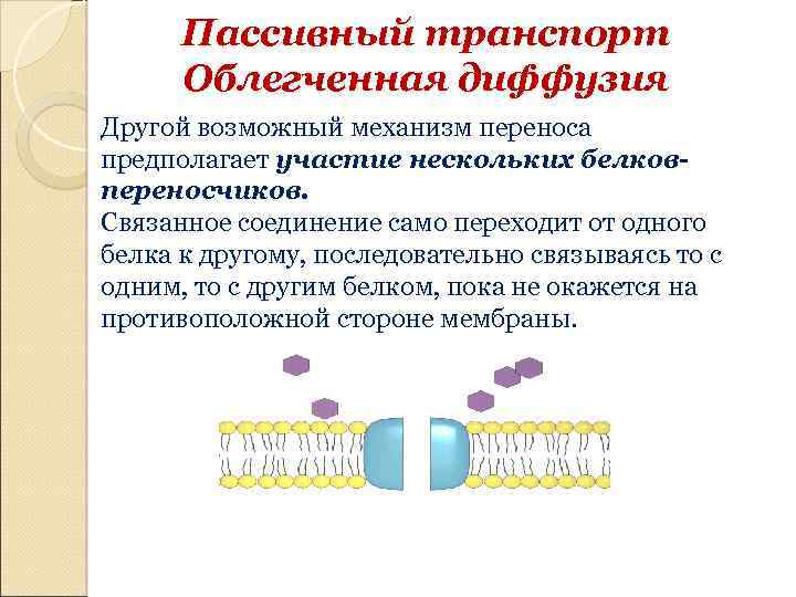 Связывающие соединения. Облегчённая диффузия механизм транспорта. Пассивный транспорт облегченная диффузия. Пассивная диффузия и облегченная диффузия. Простая диффузия пассивный транспорт механизм транспорта.