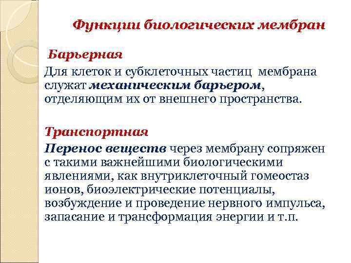 Функции биологических мембран Барьерная Для клеток и субклеточных частиц мембрана служат механическим барьером, отделяющим