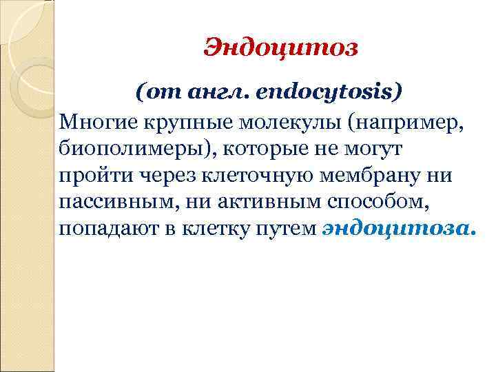 Эндоцитоз (от англ. endocytosis) Многие крупные молекулы (например, биополимеры), которые не могут пройти через
