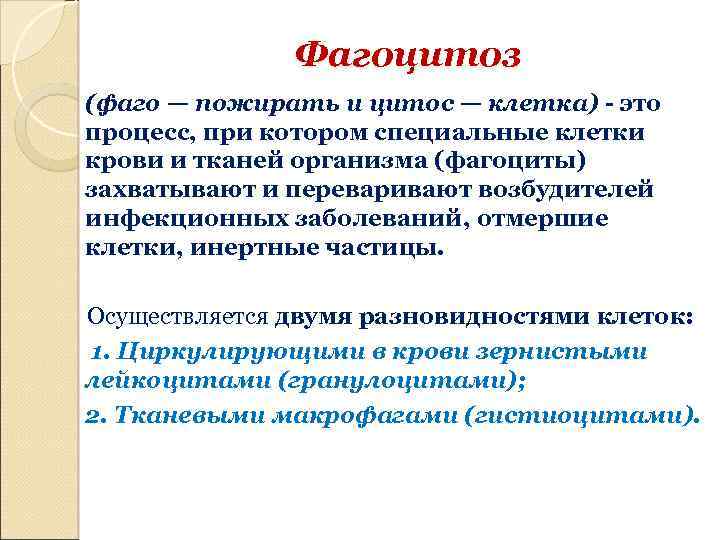 Фагоцитоз (фаго — пожирать и цитос — клетка) - это процесс, при котором специальные