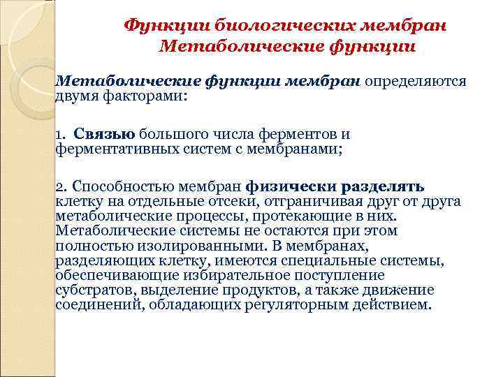 Функции биологических мембран Метаболические функции мембран определяются двумя факторами: 1. Связью большого числа ферментов