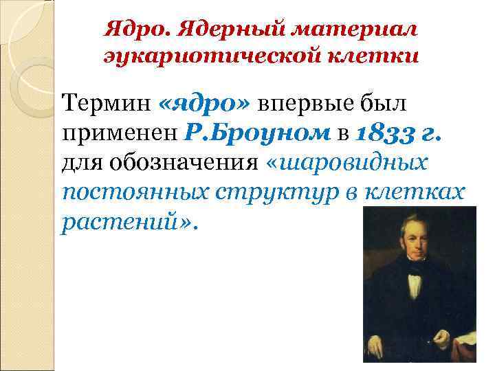 Ядро. Ядерный материал эукариотической клетки Термин «ядро» впервые был применен Р. Броуном в 1833