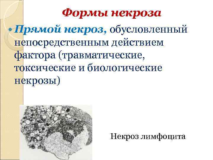Формы некроза Прямой некроз, обусловленный непосредственным действием фактора (травматические, токсические и биологические некрозы) Некроз