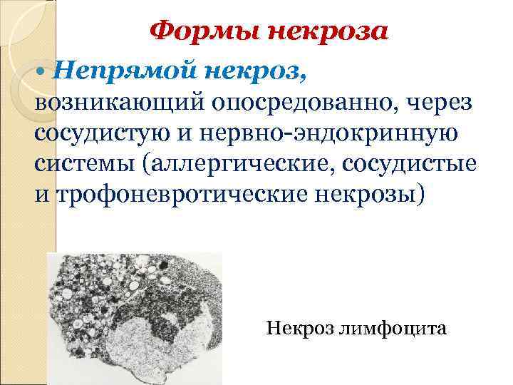 Формы некроза Непрямой некроз, возникающий опосредованно, через сосудистую и нервно-эндокринную системы (аллергические, сосудистые и