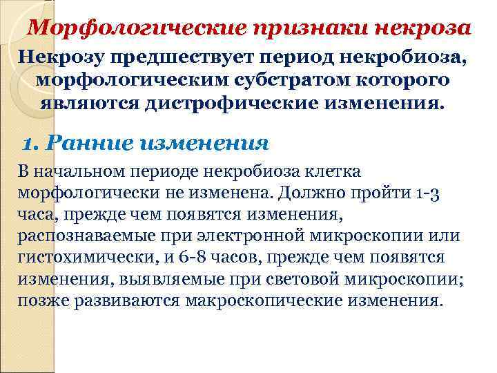 Морфологические признаки некроза Некрозу предшествует период некробиоза, морфологическим субстратом которого являются дистрофические изменения. 1.