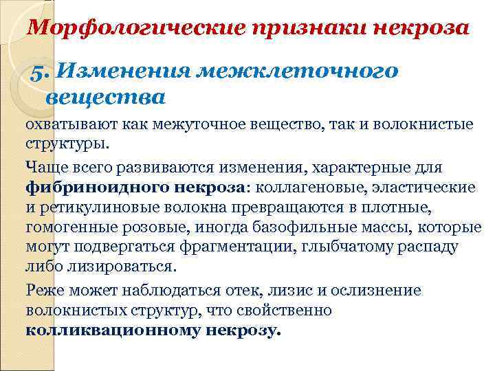 Морфологические признаки некроза 5. Изменения межклеточного вещества охватывают как межуточное вещество, так и волокнистые