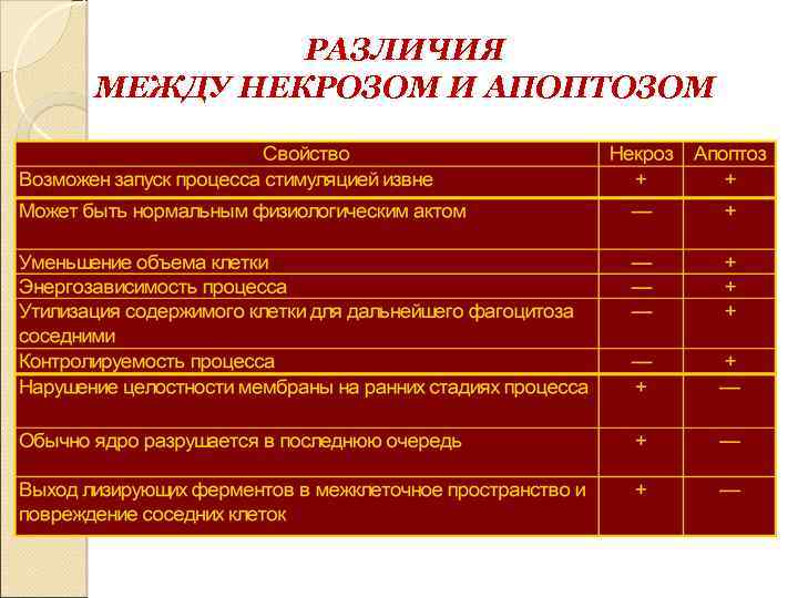 РАЗЛИЧИЯ МЕЖДУ НЕКРОЗОМ И АПОПТОЗОМ 