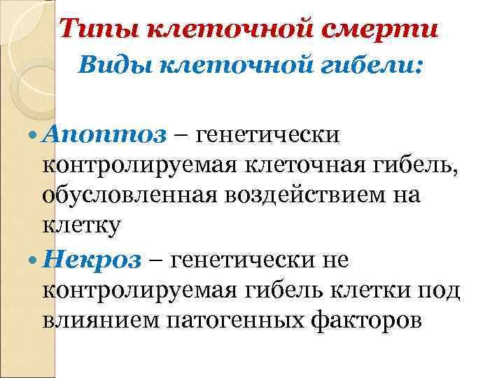 Типы клеточной смерти Виды клеточной гибели: Апоптоз – генетически контролируемая клеточная гибель, обусловленная воздействием