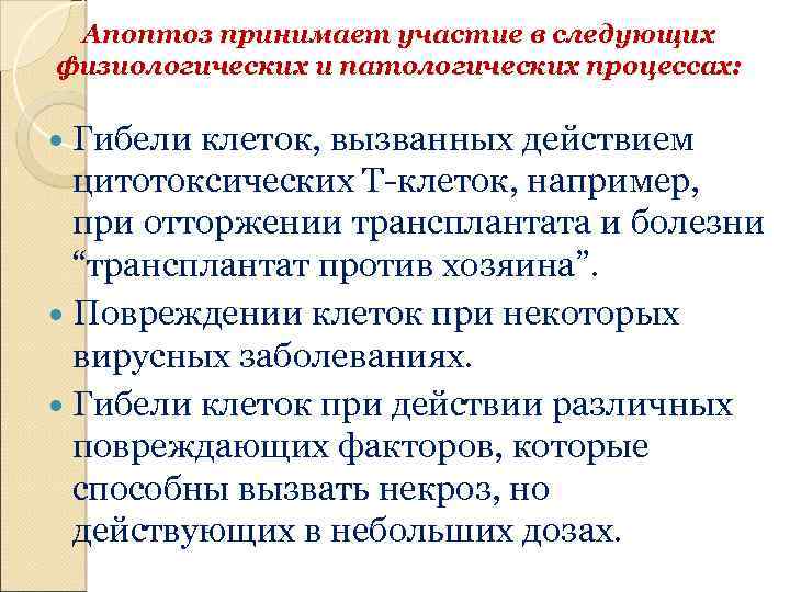 Апоптоз принимает участие в следующих физиологических и патологических процессах: Гибели клеток, вызванных действием цитотоксических