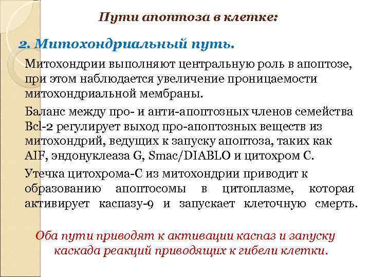 Пути апоптоза в клетке: 2. Митохондриальный путь. Митохондрии выполняют центральную роль в апоптозе, при